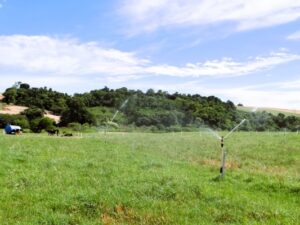 Leia mais sobre o artigo Agricultores da região de Santa Rosa recebem subvenção para projetos de irrigação
