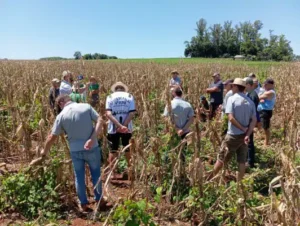Leia mais sobre o artigo Agricultores de São Paulo das Missões participam de Dia de Campo com 23 variedades de milho