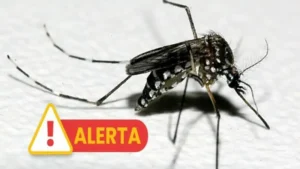 Leia mais sobre o artigo Aumento de casos de dengue no RS pode ter relação com fenômenos climáticos