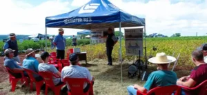 Leia mais sobre o artigo Dia de Campo sobre soja mobiliza 800 produtores da região de Santa Rosa