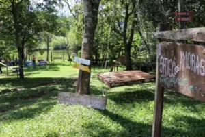 Leia mais sobre o artigo Sítio das Amoras é nova oportunidade de turismo rural em São José do Inhacorá
