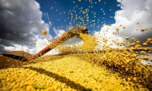 Leia mais sobre o artigo Com supersafra de grãos, Produto Interno Bruto do Brasil cresceu 2,9% em 2023