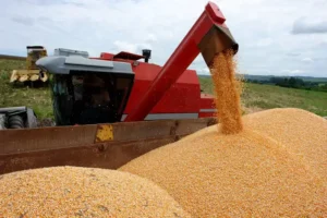 Leia mais sobre o artigo Rio Grande do Sul deve produzir mais de 40 milhões de toneladas de grãos na safra 2023/24
