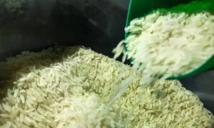 Leia mais sobre o artigo Brasil vai importar arroz para evitar especulação de preços