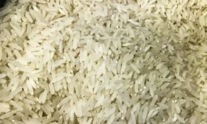 Leia mais sobre o artigo Conab compra 263,3 mil toneladas de arroz importado em leilão