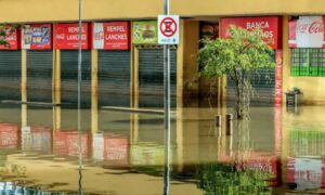 Leia mais sobre o artigo Sebrae lança programa para ajudar empresas vítimas da enchente no RS