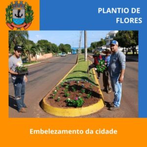 Leia mais sobre o artigo Porto Lucena inicia plantio de flores para embelezar a cidade nas festividades de fim de ano