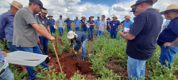 Leia mais sobre o artigo Emater/RS-Ascar promoverá ações para melhorias no manejo do solo na região de Santa Rosa