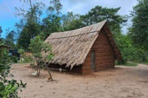 Leia mais sobre o artigo Emater/RS-Ascar apresenta Diagnóstico sobre Comunidades Guarani do RS