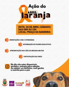 Leia mais sobre o artigo Secretaria de Meio Ambiente irá realizar ação do Abril Laranja no próximo sábado em Santa Rosa