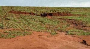 Leia mais sobre o artigo Chuvas prejudicam lavouras e atrasam plantio da safra de inverno no RS