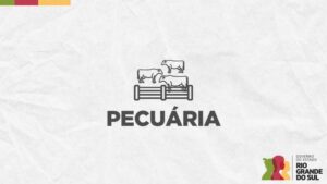 Leia mais sobre o artigo Prazo para Declaração Anual de Rebanho vai até 30 de junho