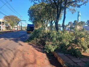 Leia mais sobre o artigo Santa Rosa Inicia Cronograma de Podas e Recolhimento de Galhos em Áreas Urbanas