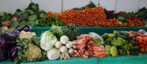 Leia mais sobre o artigo Pavilhão da Agroindústria valoriza produtores e promove sabores do campo no Hortigranjeiros 2025