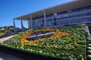 Leia mais sobre o artigo Plano Safra 25/26 prevê R$ 89 bilhões para agricultura familiar