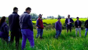 Leia mais sobre o artigo Acadêmicos e agrônomos participam de atividade prática em manejo de plantas daninhas