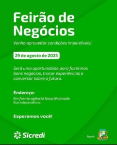 Leia mais sobre o artigo Empresa FFK prepara instalação em Novo Machado