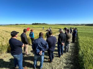 Leia mais sobre o artigo Coopermil promoveu Dia de Campo Produz Mais – Cultura do Trigo