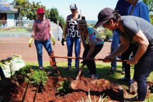 Leia mais sobre o artigo Curso de Jardinagem prepara espaço para a ExpoCandi 