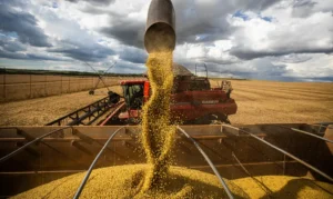 Leia mais sobre o artigo Queda no preço dos alimentos vai permanecer, diz ministro