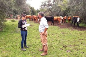 Leia mais sobre o artigo Primavera é o momento ideal para realizar o manejo estratégico e proteger o rebanho dos parasitas