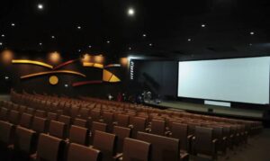 Leia mais sobre o artigo Setor audiovisual lança entidade e estudo na busca de política pública