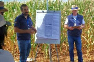 Leia mais sobre o artigo Dia de Campo em São Borja apresenta o Plantio 360 e destaca a irrigação no município