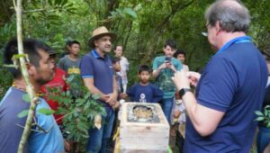 Leia mais sobre o artigo Emater/RS-Ascar assessora meliponicultura na Aldeia Indígena de São Miguel das Missões