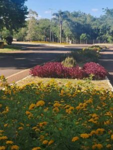 Leia mais sobre o artigo Campina das Missões: um lugar de pertencimento, trabalho e orgulho comunitário