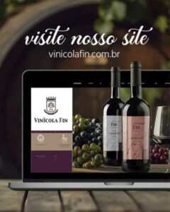 Leia mais sobre o artigo Vinícola Fin amplia experiência do consumidor com loja online e entrega direta ao cliente