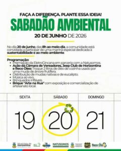 Sabadão Ambiental